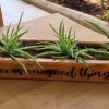 Natural wooden planter - Image 4